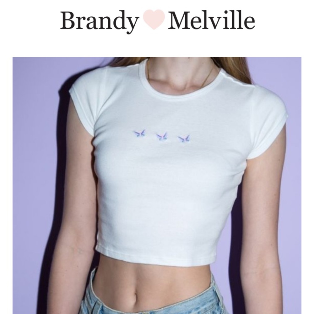Brand new Brandy Melville butterfly shirt